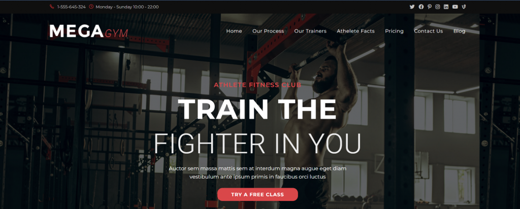 One of the site demos offered by OceanWP