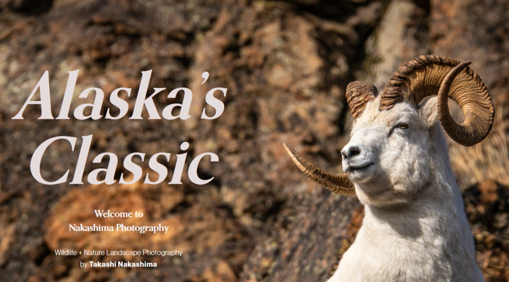 Nakashima Photography's homepage
