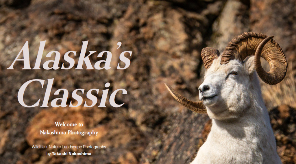 Página de inicio de Nakashima Photography