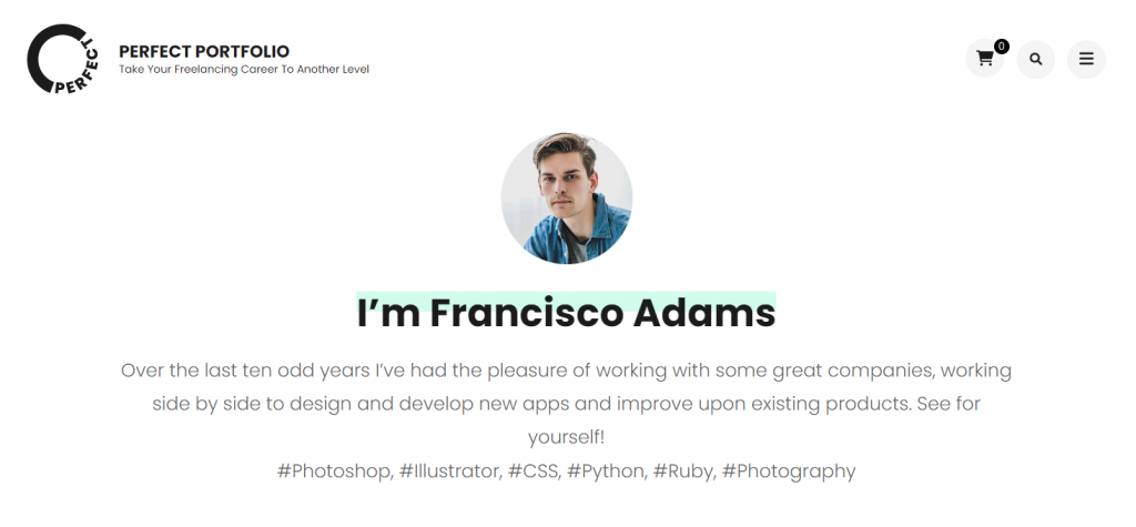 Perfect Portfolio's demo preview