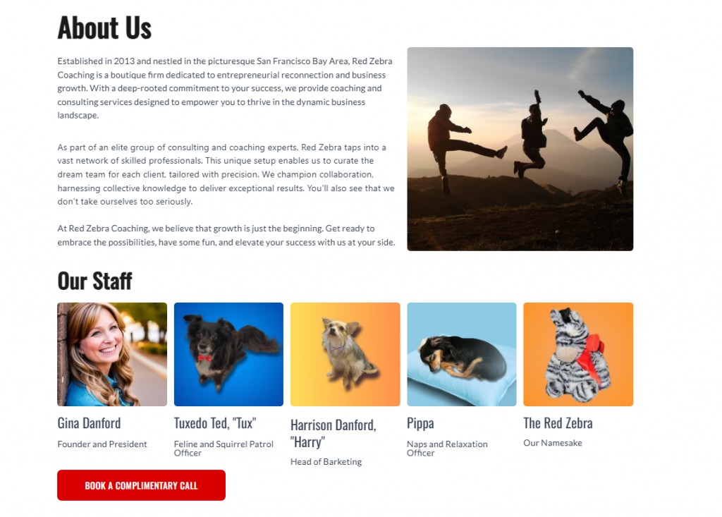 Red Zebra Coaching entrepreneurial journey page