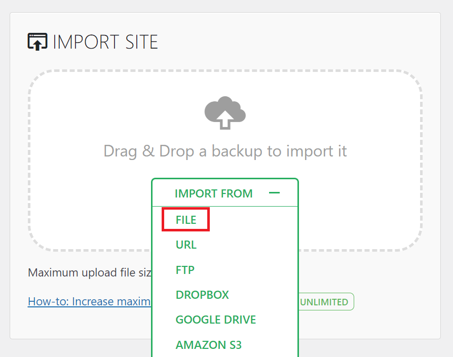 Selecting the FILE option on the IMPORT SITE menu of the WordPress dashboard