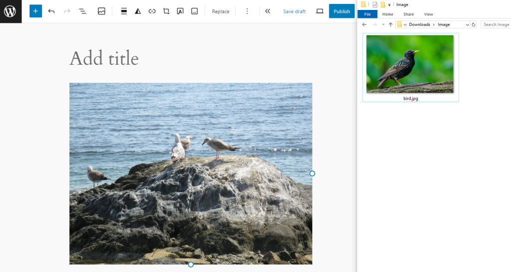 Drag and drop images feature in the block editor