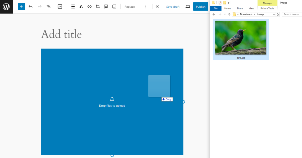 Dropping an image from my computer to replace the existing one in the block editor
