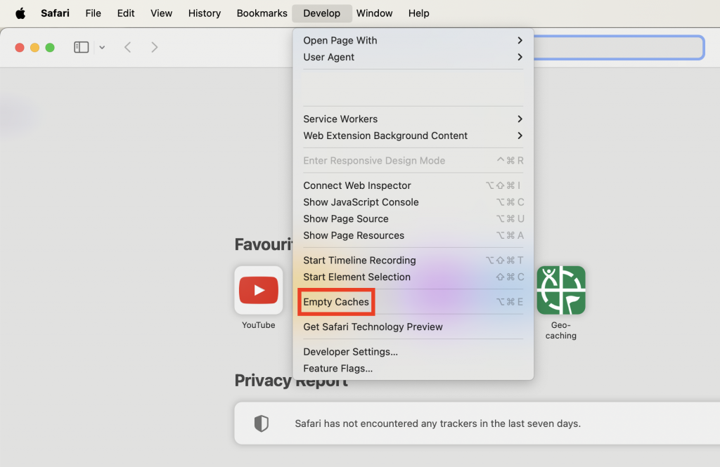 Develop menu expanded in the browser with empty caches highlighted