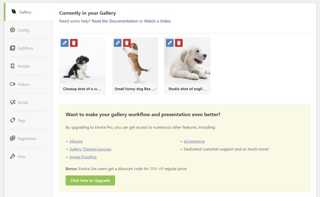 Envira Gallery editor