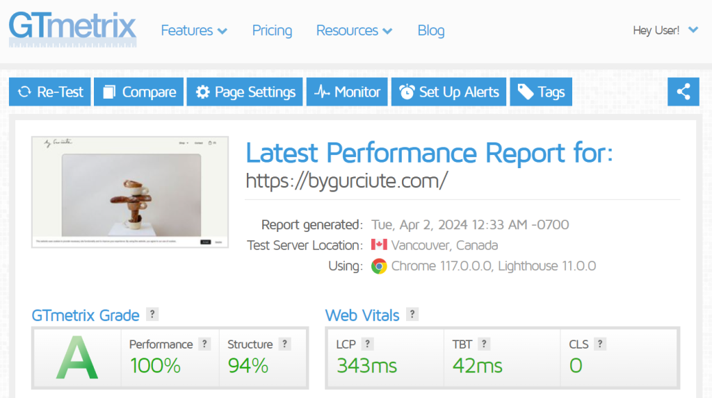By Gurčiūtė's GTmetrix test results