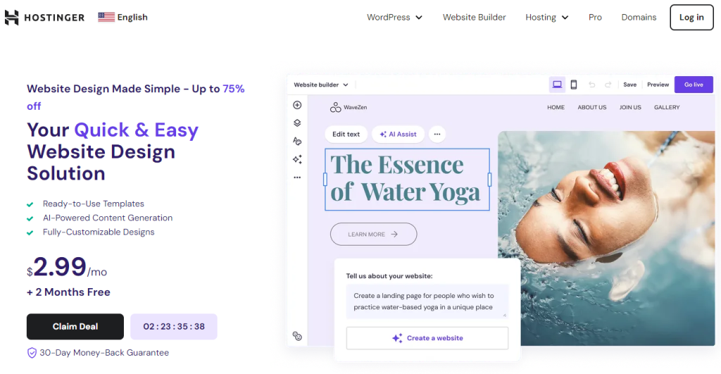 Hostinger website design landing page