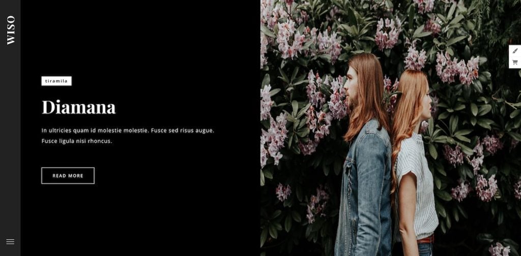 Wiso photography WordPress theme