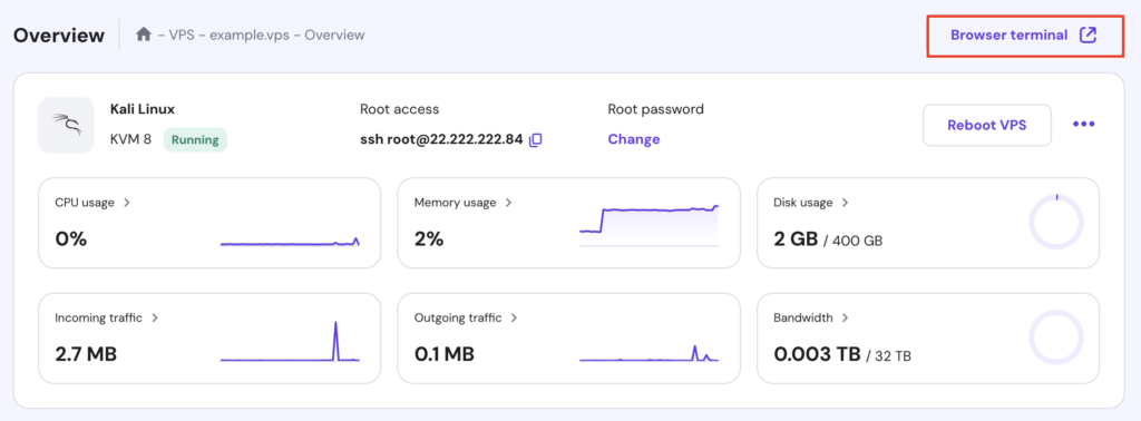 The Browser terminal button in the VPS Overview page of hPanel