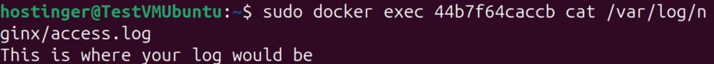 Terminal output showing NGINX access log via docker exec