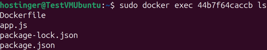 Terminal window showing docker exec command to list files with ls /