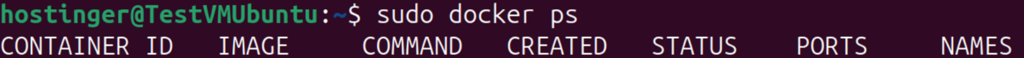 Terminal output showing docker ps command listing containers