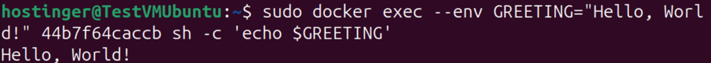 Terminal output of docker exec --env command showing "Hello, World!"
