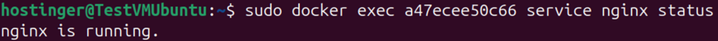 Terminal output of docker exec service nginx status command