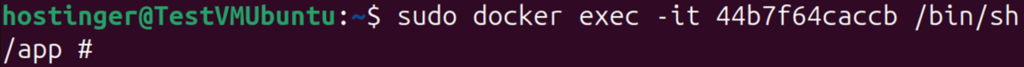 Terminal window showing docker exec command with /bin/sh