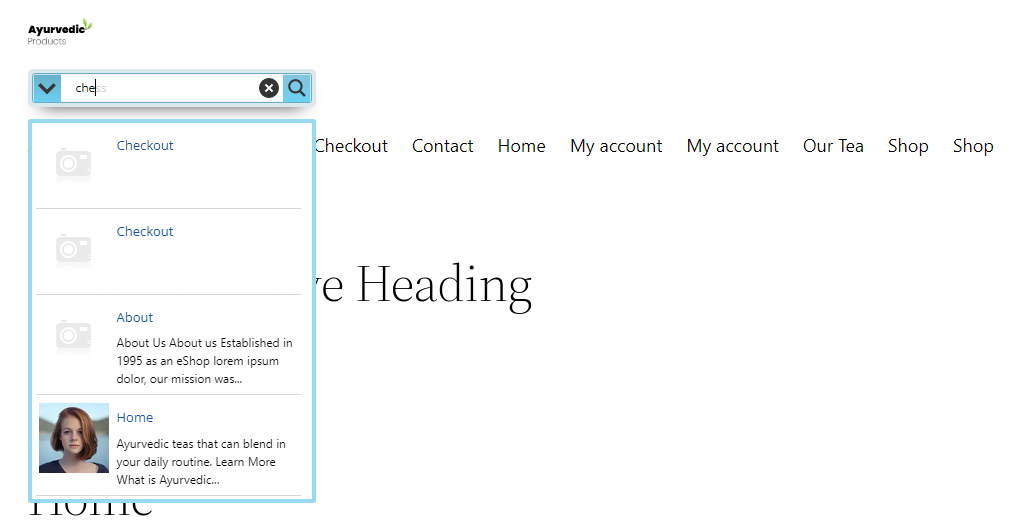 A search bar at the top left leads to options like Checkout, About, and Home in a clean, organized online store interface.