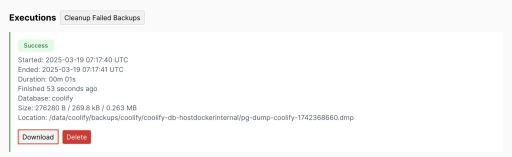 The Download button in Coolify's Executions section