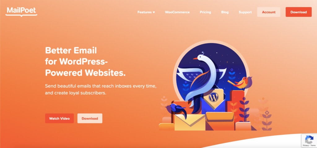 The MailPoet homepage featuring its email marketing plugin for WordPress