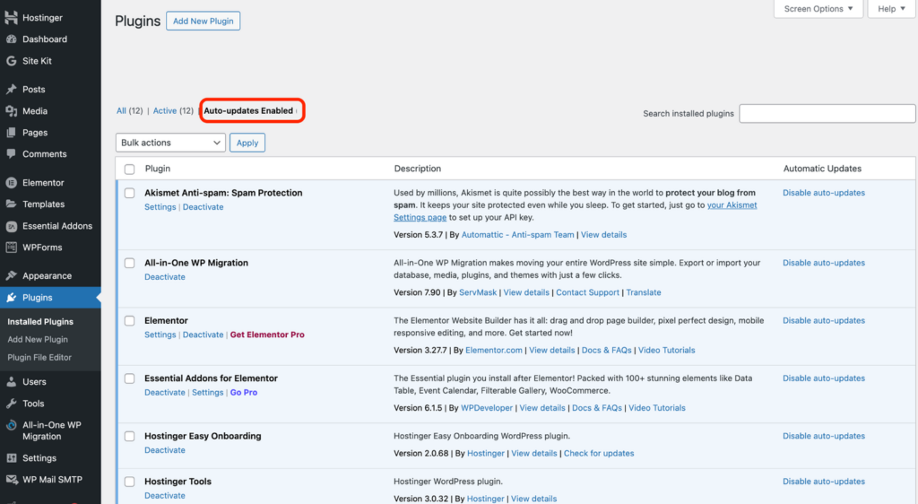 WordPress dashboard showing the section with options to auto-update plugins.