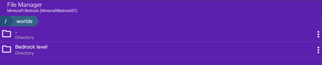 Image of the Minecraft server files with a recreated empty Bedrock level directory.