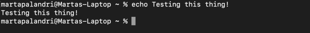 Simply add a string after the echo command to print it to your terminal.