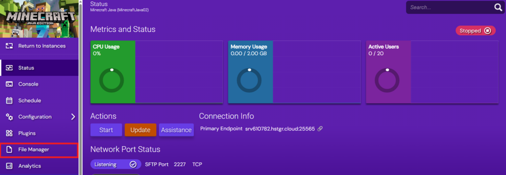 Visual overview of a Minecraft Java instance's status page, with the File Manager option highlighted.