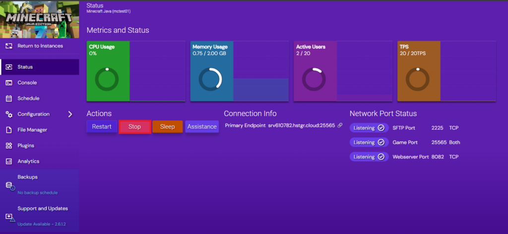 Minecraft Java instance overview with the Stop button highlighted.