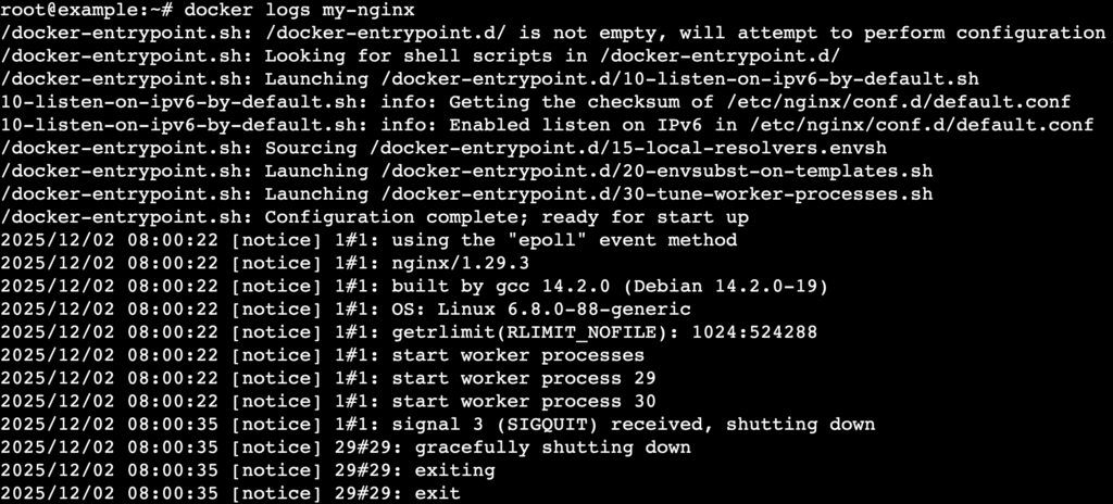 Terminal showing docker logs output with NGINX access requests
