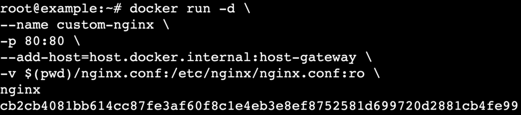 Terminal running docker run with --add-host flag for Linux networking