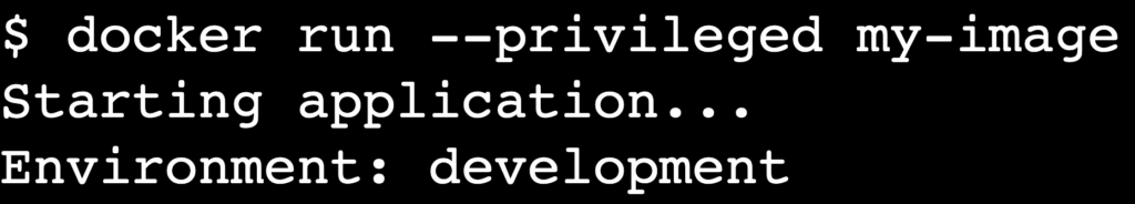 Terminal command running a container with the privileged flag