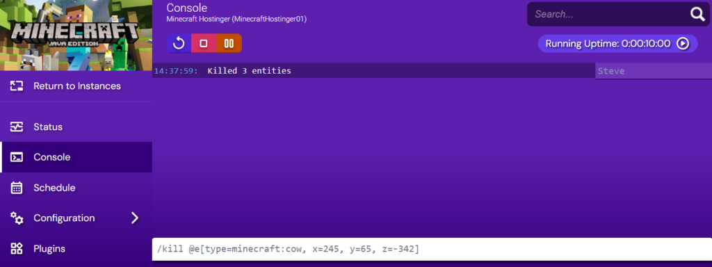 Output of the successful execution of the command in the server's console in Game Panel.