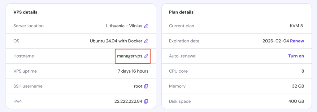 The hostname information in the VPS Overview page of hPanel