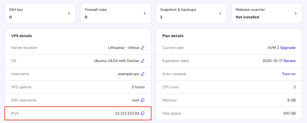 The IP address information in hPanel's VPS