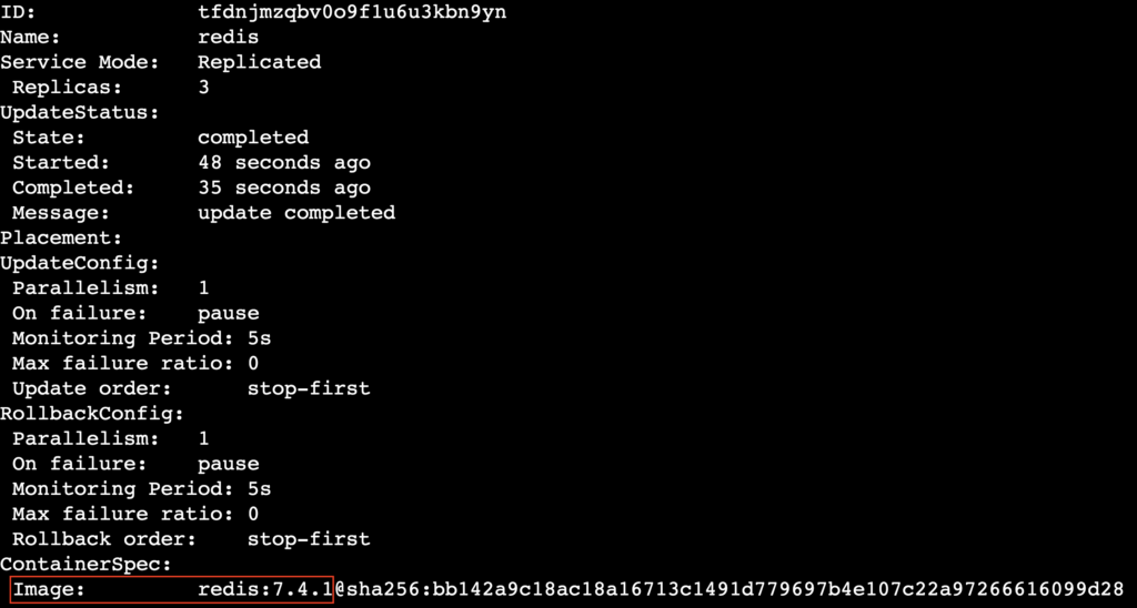 A terminal output showing the installed Docker image version of the redis service