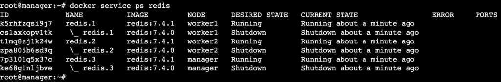 A terminal output showing the running versions of the redis service