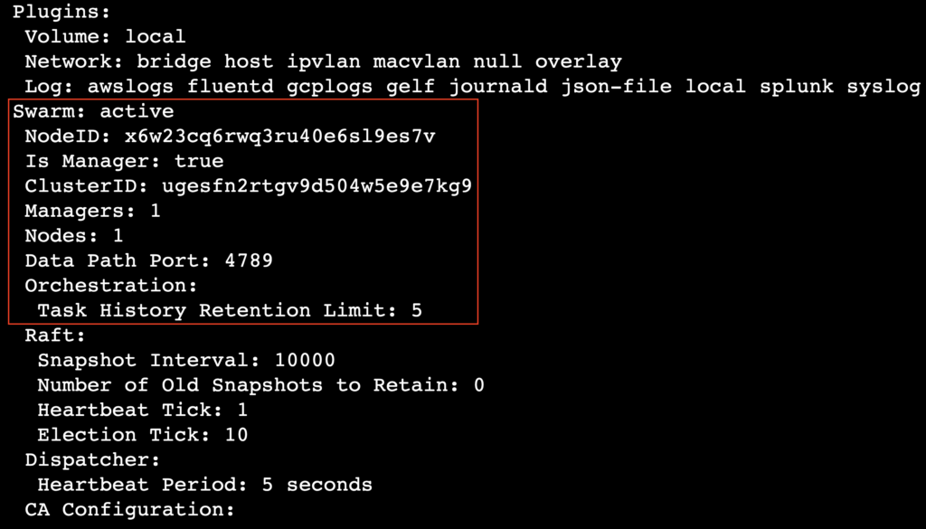 A terminal output showing the swarm state