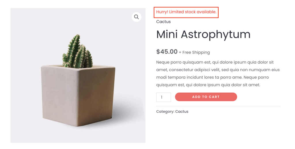A custom notice on a single product page created with WooCommerce hooks