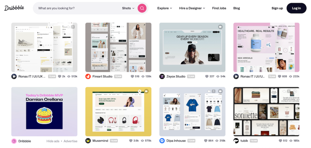 Website design examples in Dribble