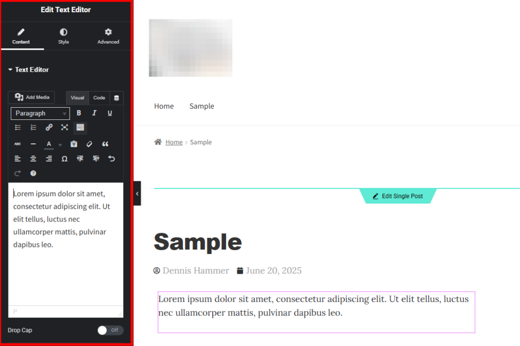 Elementor editor with the Text Widget highlighted