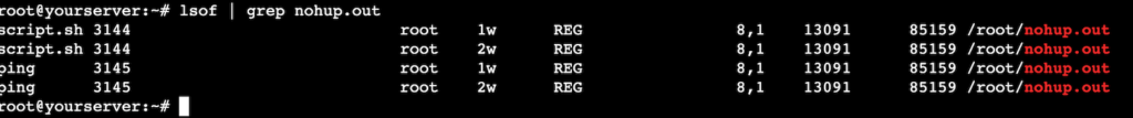 The lsof command checks all nohup processes from its output file