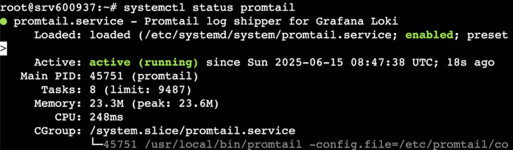 Terminal window showing Promtail status as active