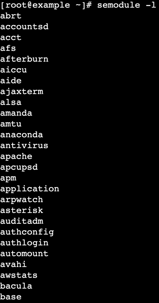 A terminal output shows the installed policy modules