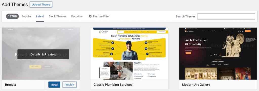 The Add Themes menu on WordPress Admin Panel