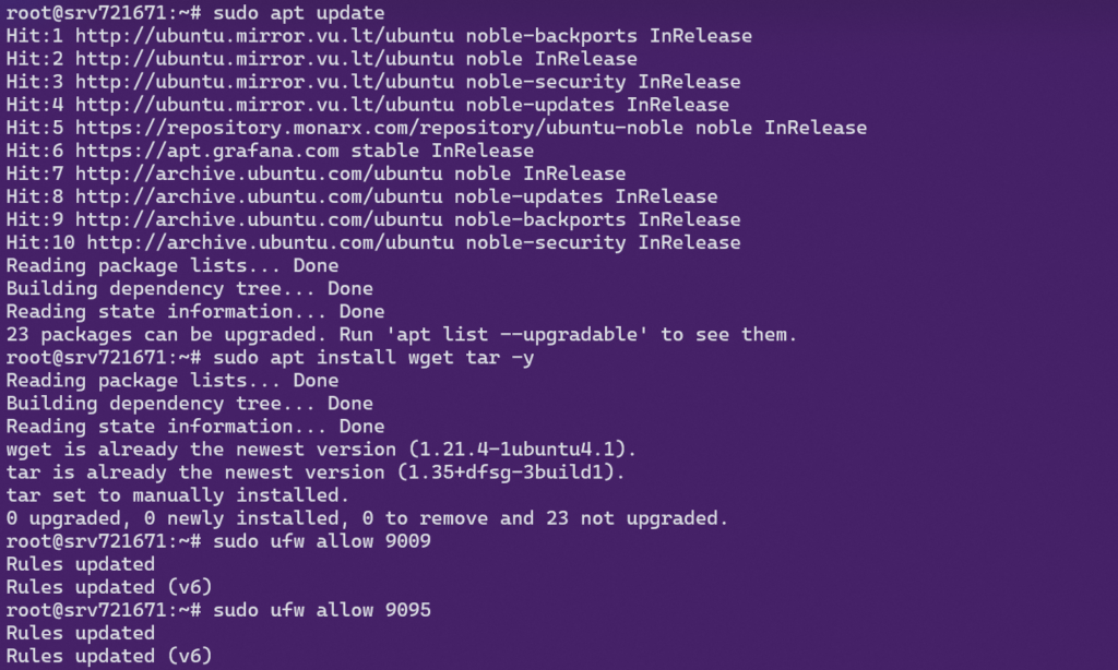 Installing dependencies and opening firewall ports.