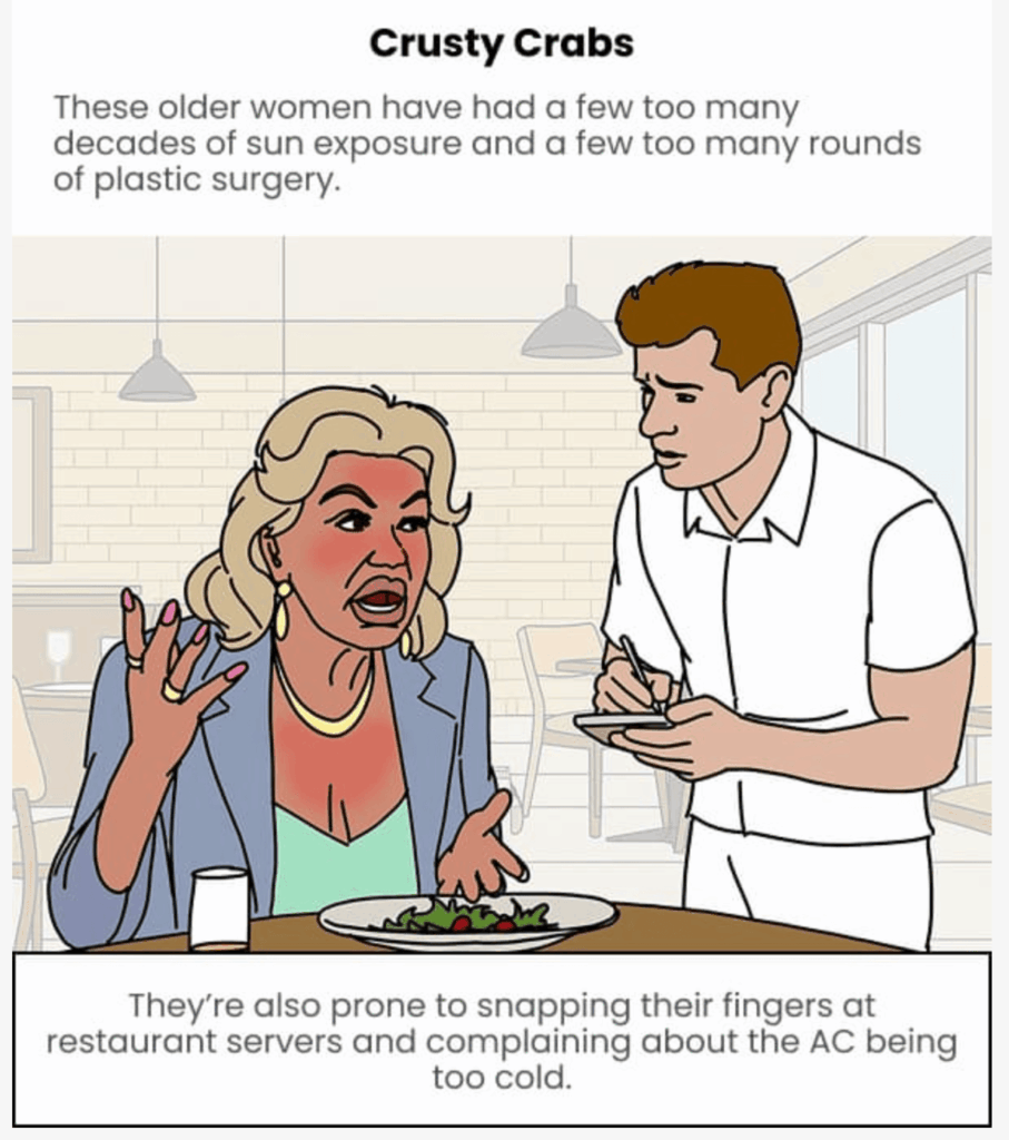 Birddogs email marketing campaign showing humor and storytelling