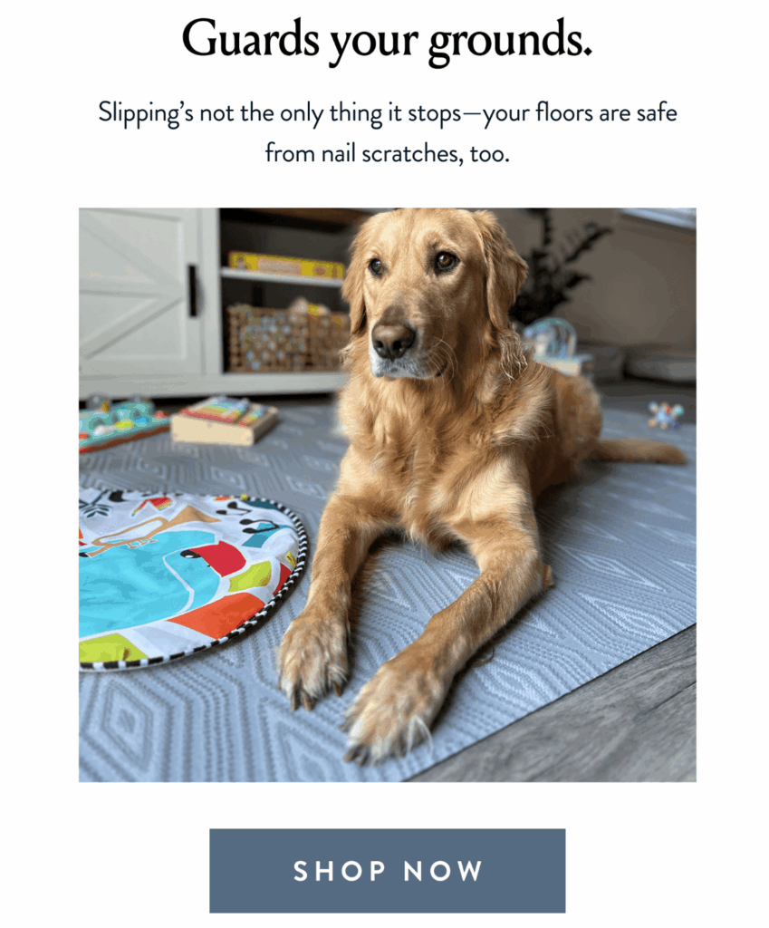 Porte + Hall email marketing campaign addressing customer pain points