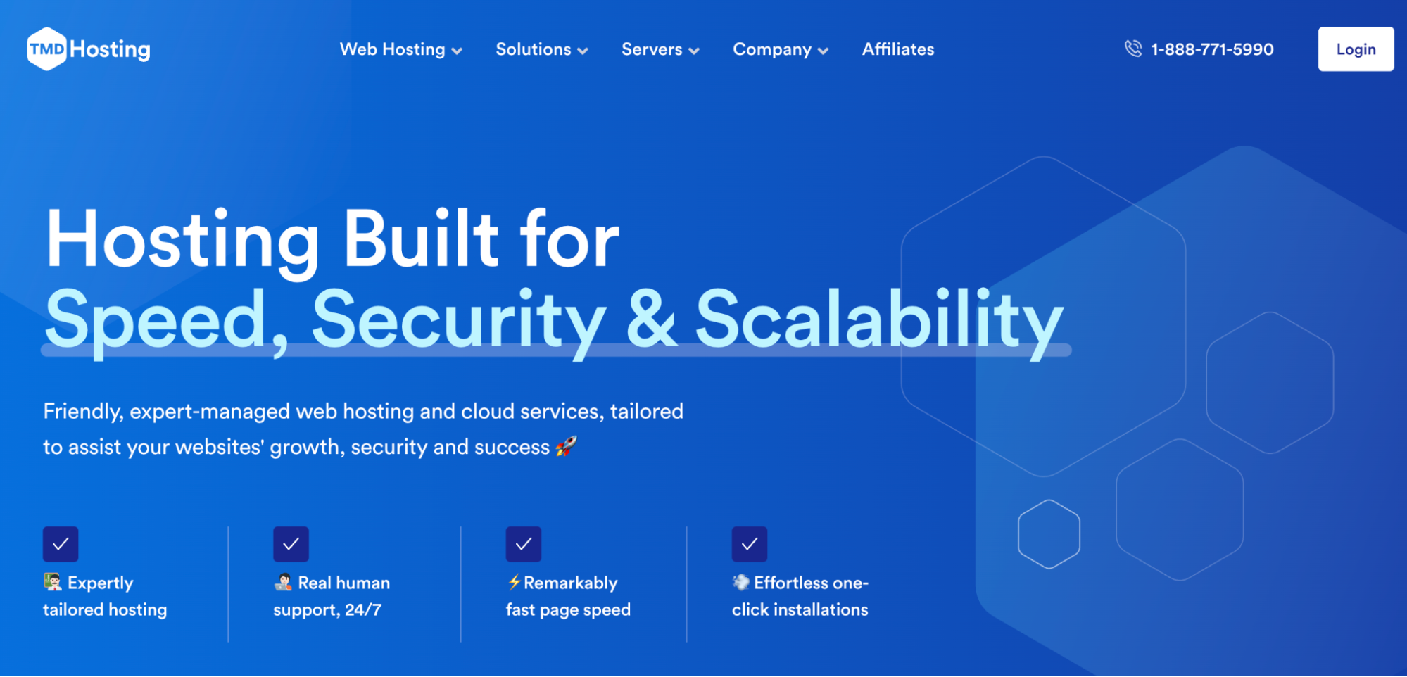 TMD Hosting landing page