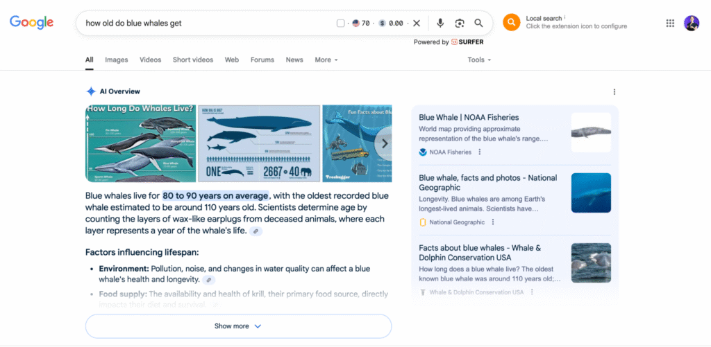 An example of Google AI Overview