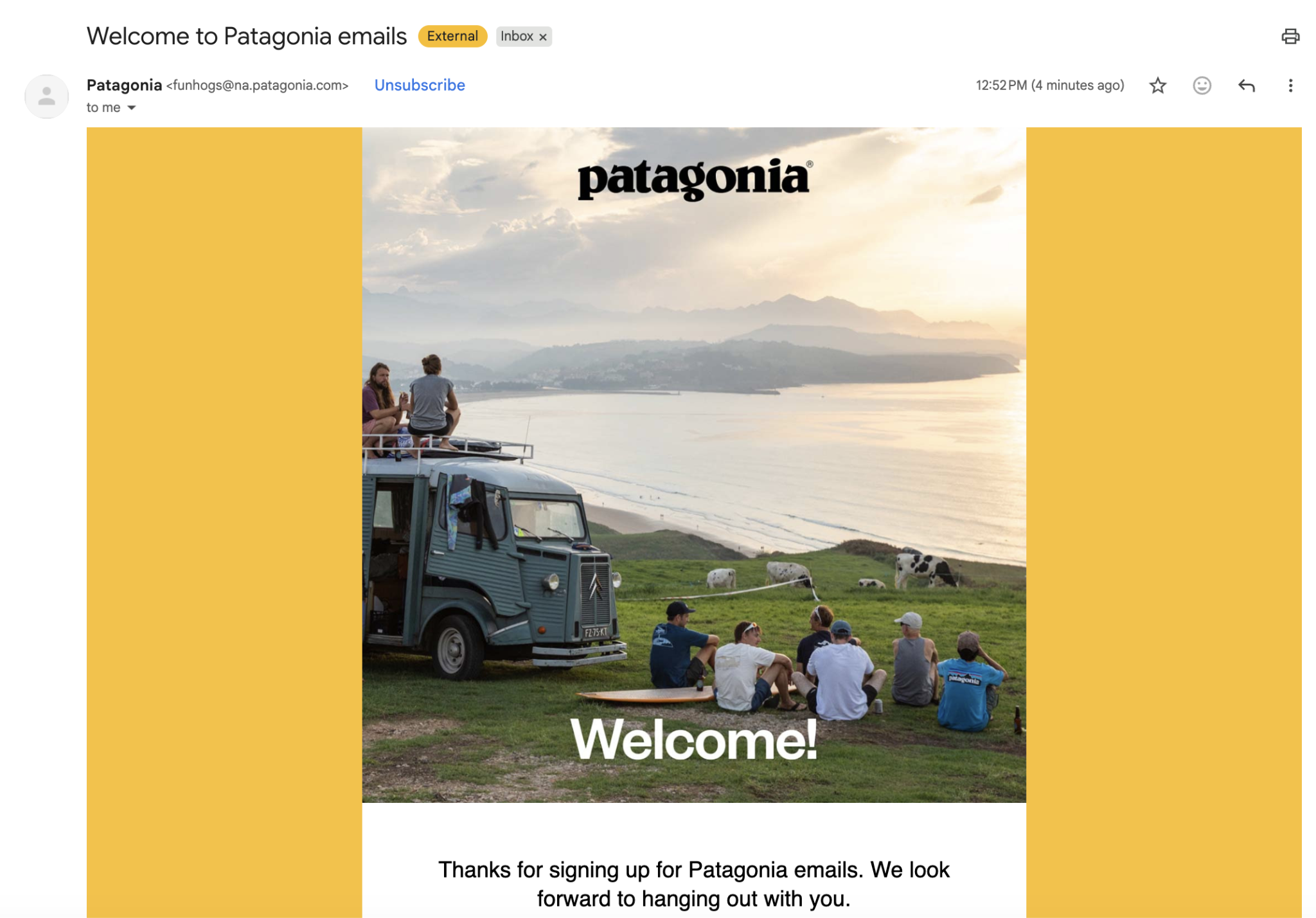 Patagonia welcome email